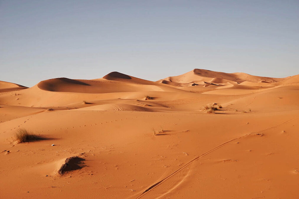 ネットショップ開店は砂漠の中に一粒の砂を落とすようなもの